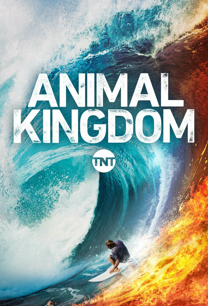 Animal Kingdom 6X12 Torrent Castellano